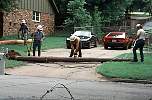 lightpole123.JPG